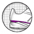 Trusstic